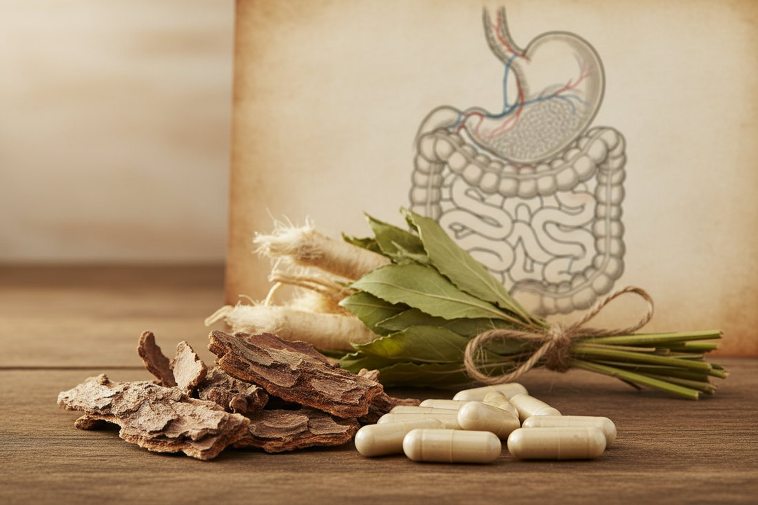 How Slippery Elm Rebuilds the Intestinal Wall Naturally