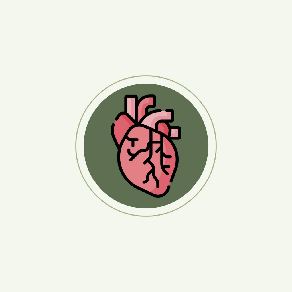 Heart & Circulatory Health