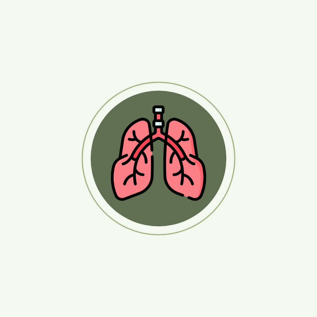 Respiratory Health – Spice Capsule