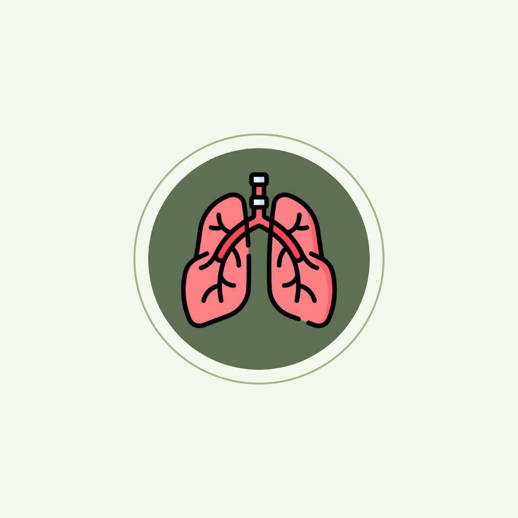 Respiratory Health