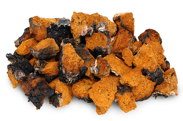 Health Benefits of Chaga Mushroom