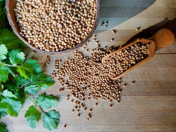 Health Benefits of Celery Seed