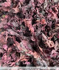 Health Benefits of Dulse