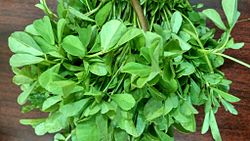 Health Benefits of Fenugreek Seed