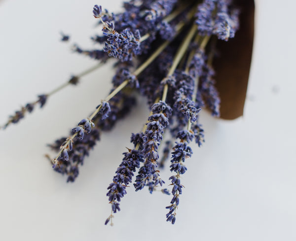 Health Benefits of Lavender Flower