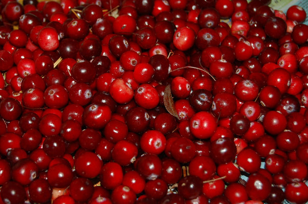 Health Benefits of Cranberry Fruit