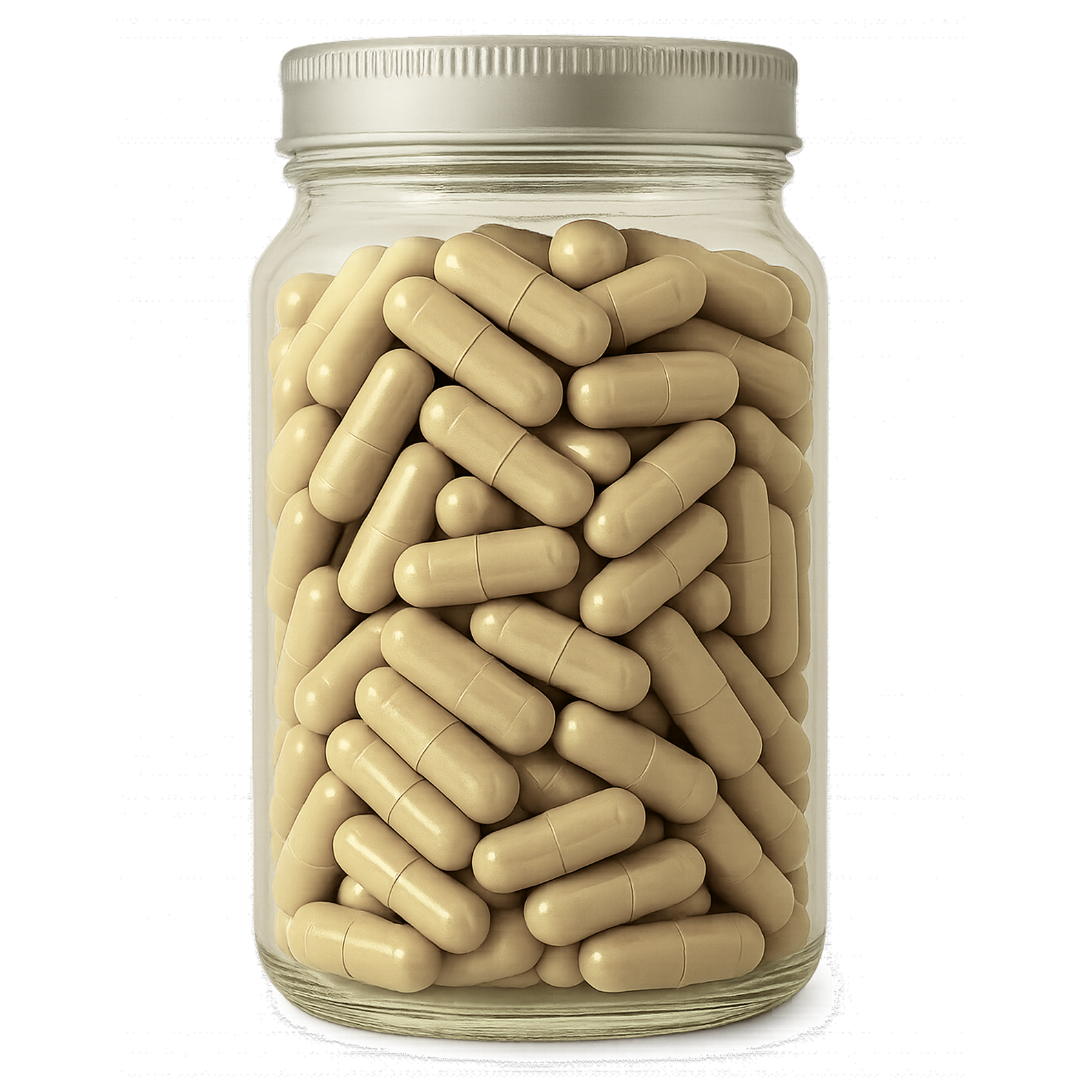 Astragalus Root Capsules