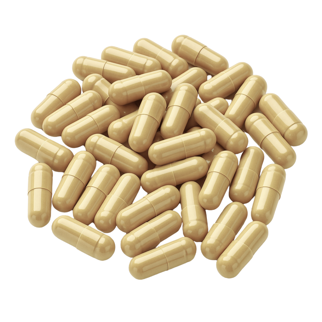 Astragalus Root Capsules