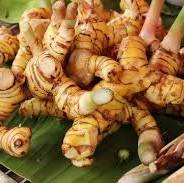Health Benefits of Galangal Root