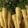 Health Benefits of Parsley Root