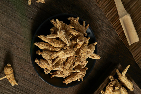Health Benefits of Angelica Root