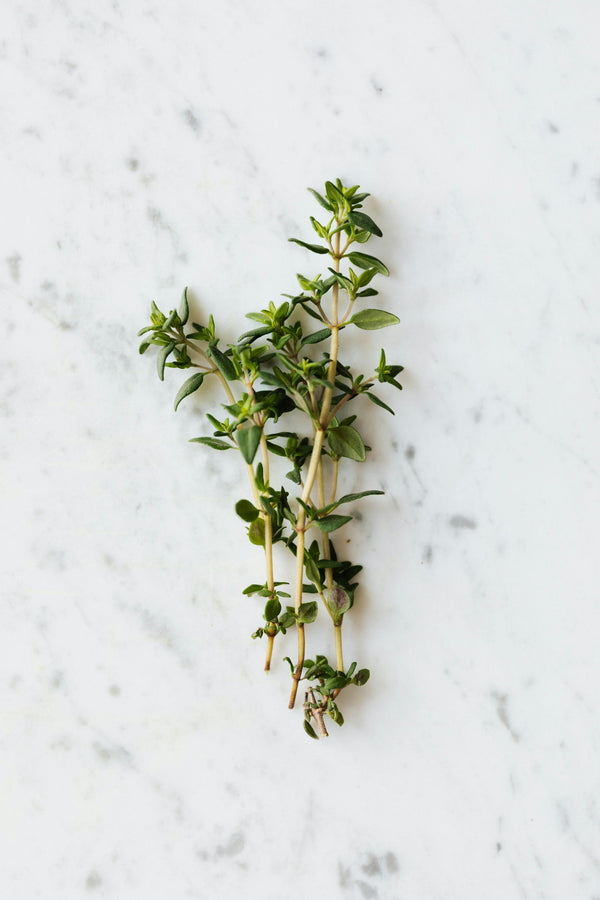 Health Benefits of Thyme