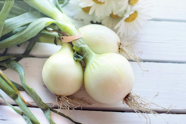 Health Benefits of Onion