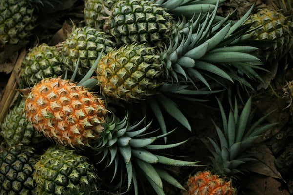 Health Benefits of Bromelain