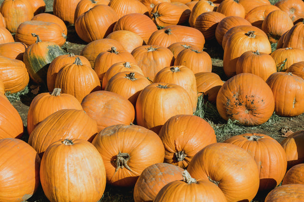 Health Benefits of Pumpkin Seed