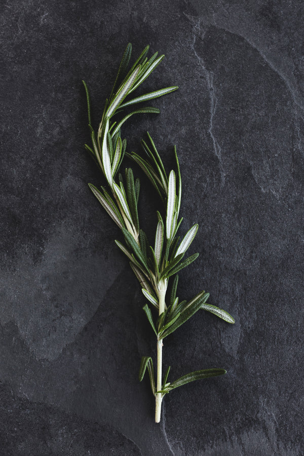 Health Benefits of Rosemary
